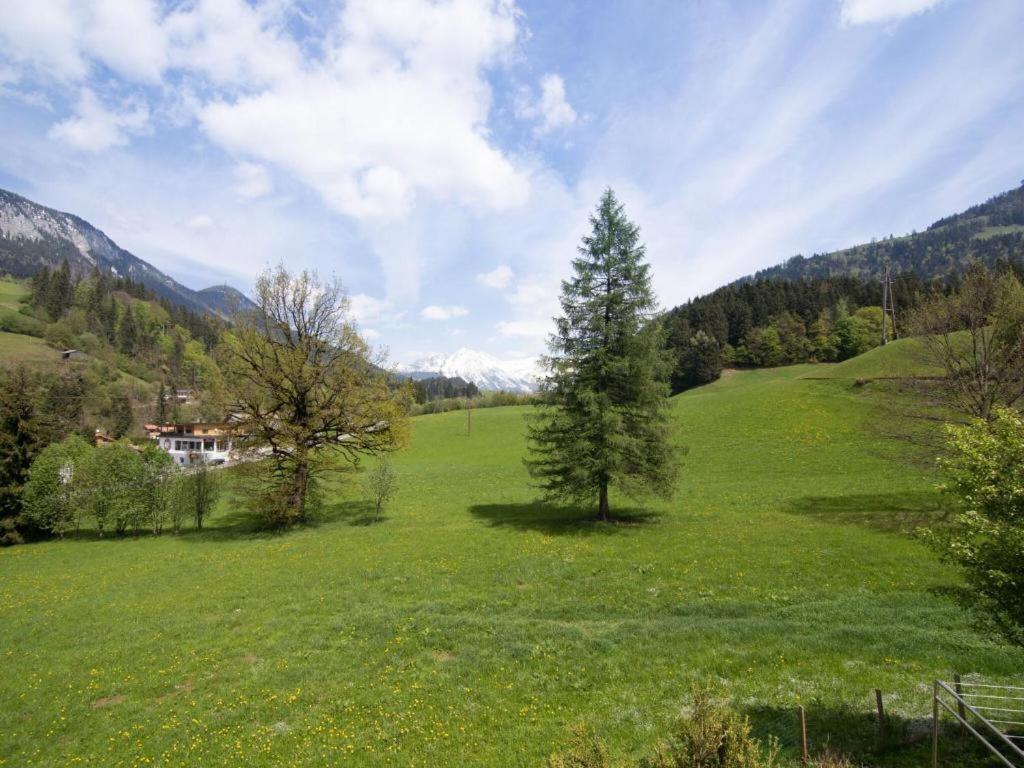 شقة إتيير  في Hintermuhltalhof المظهر الخارجي الصورة